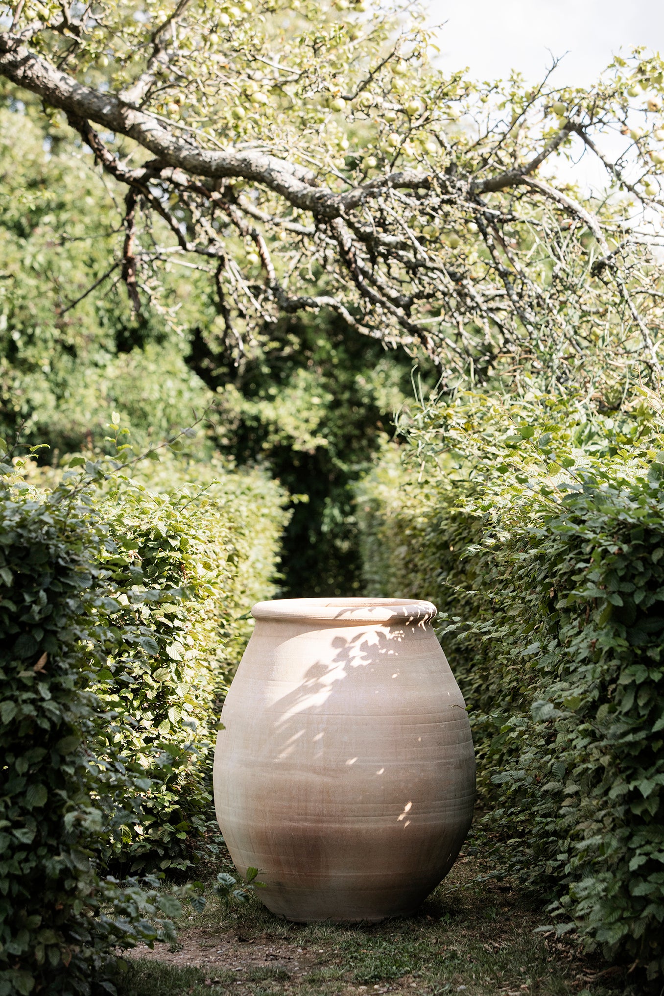 VASO
