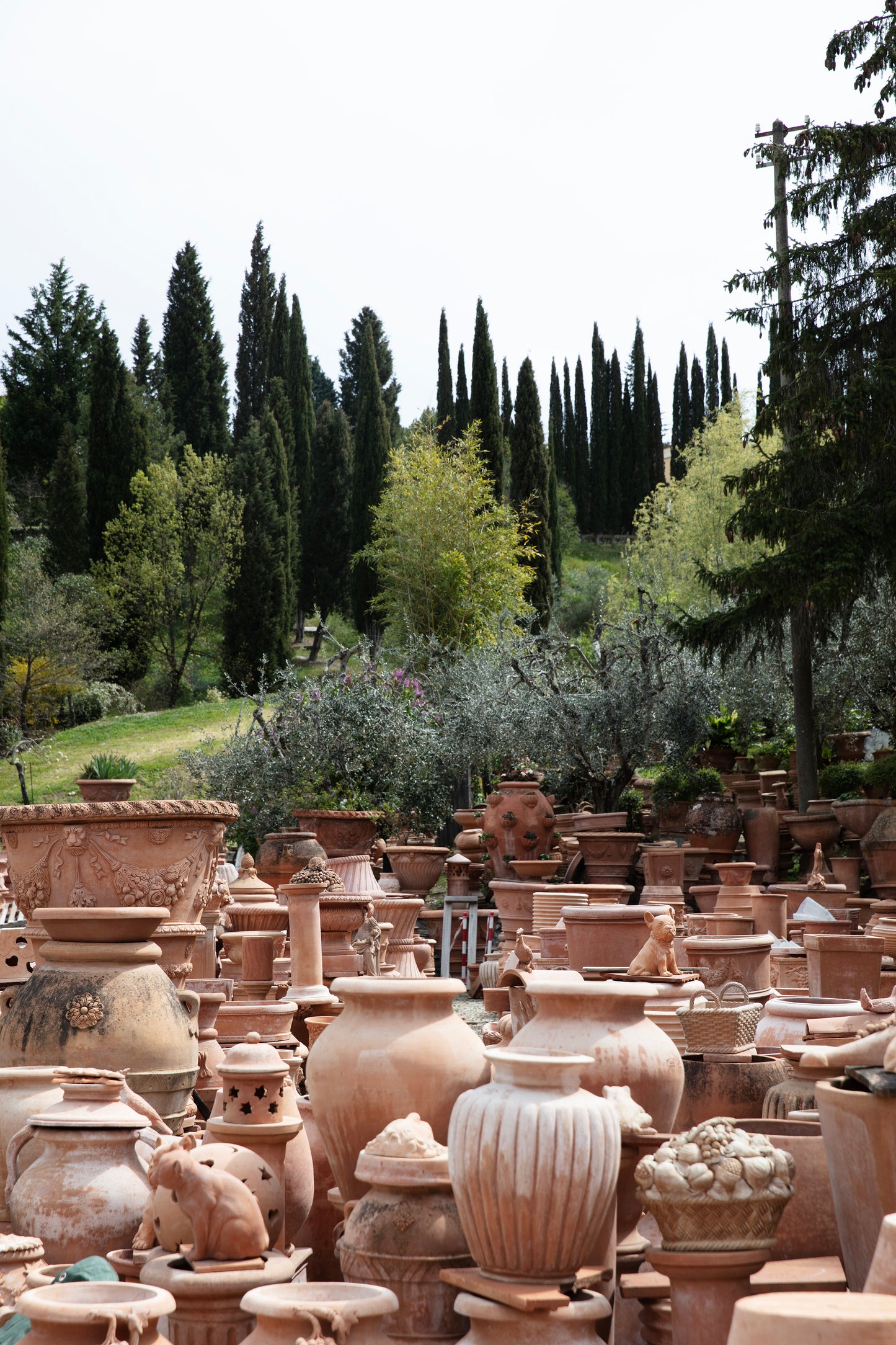 VASO LISCIO
