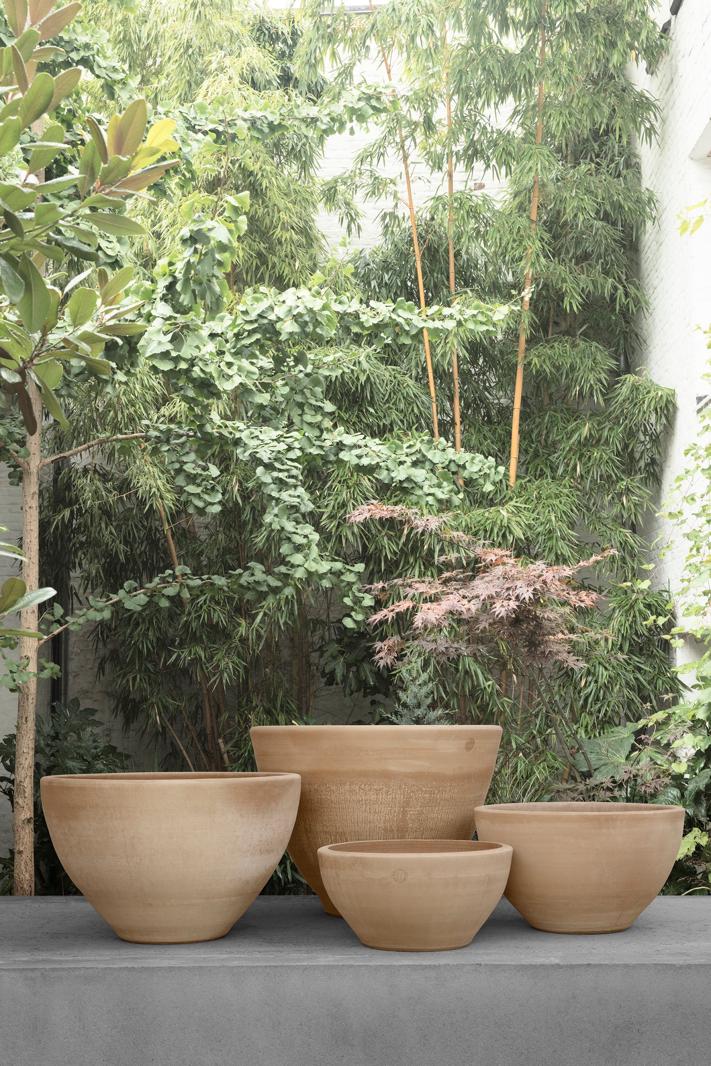 VASO