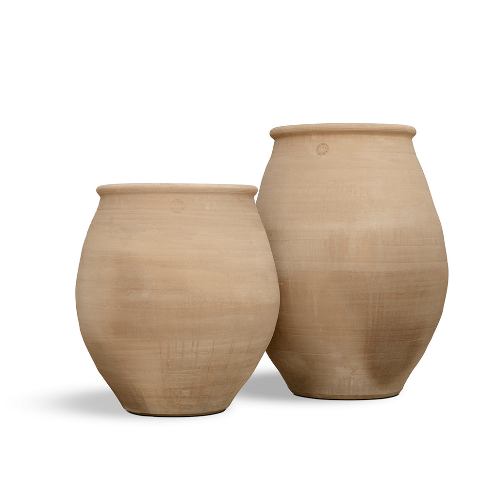VASO