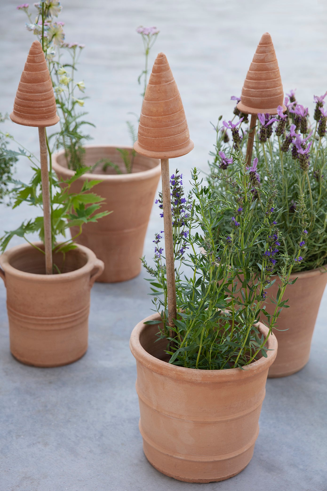 XENODOHIO ENTOMON - insekthotel sæt med 5 stk.