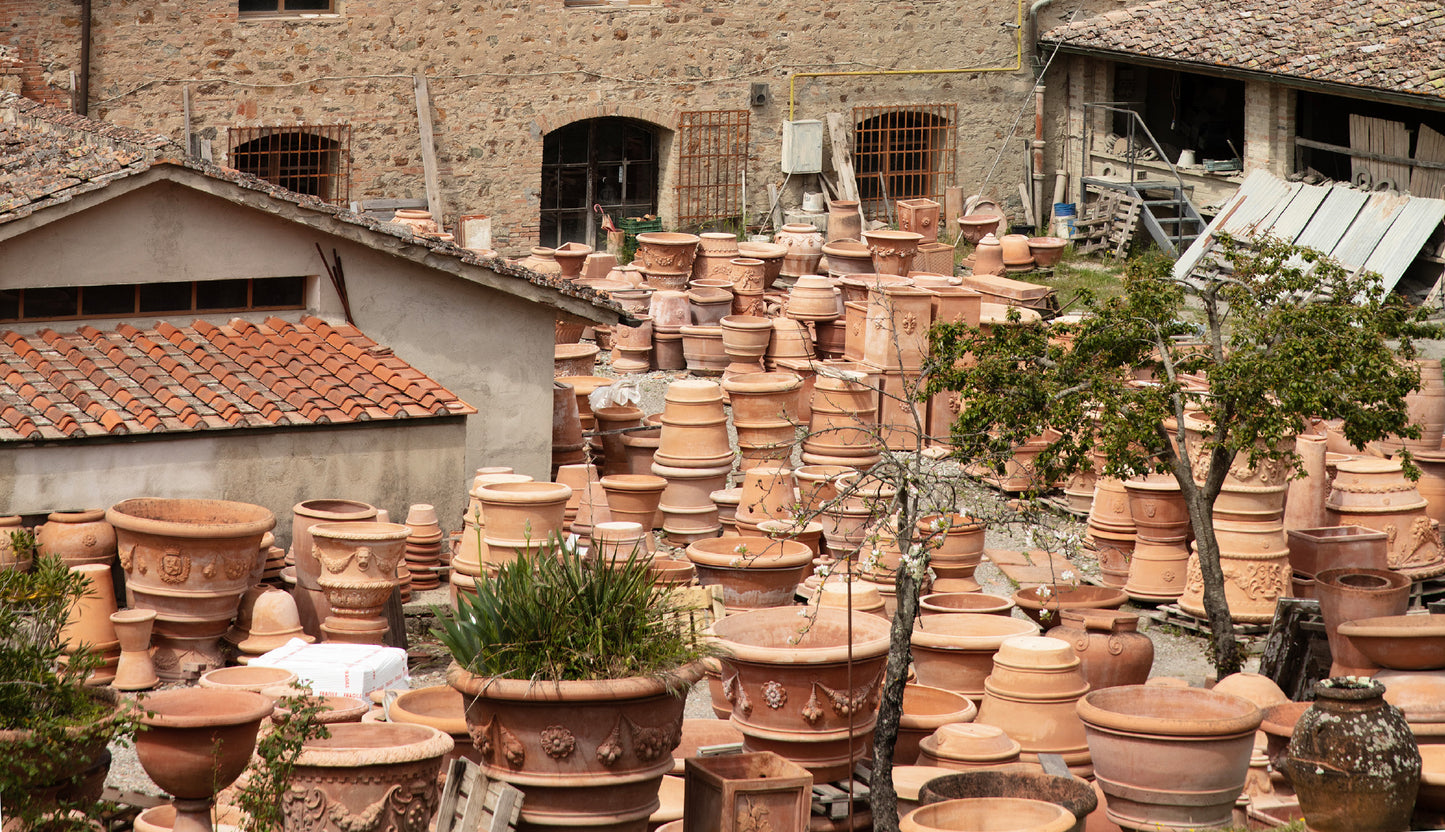 VASO LISCIO