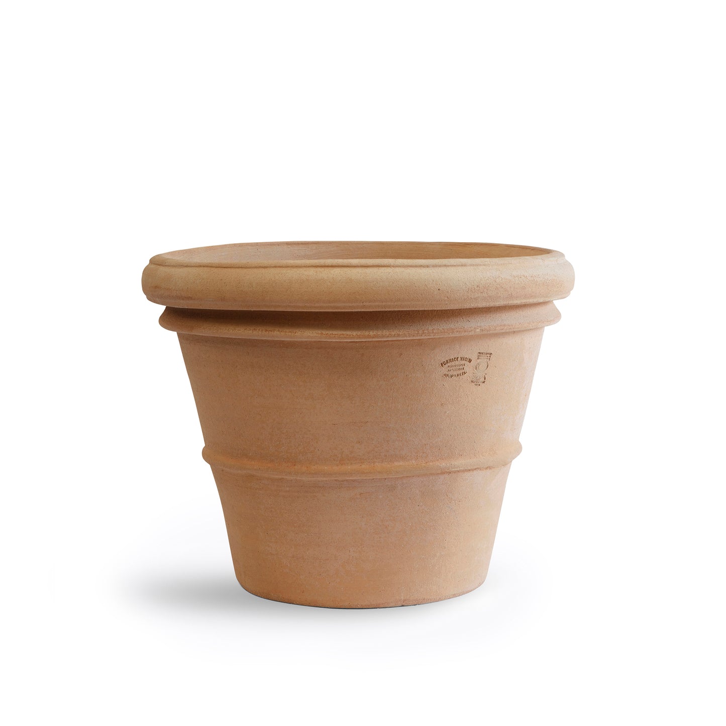 VASO LISCIO