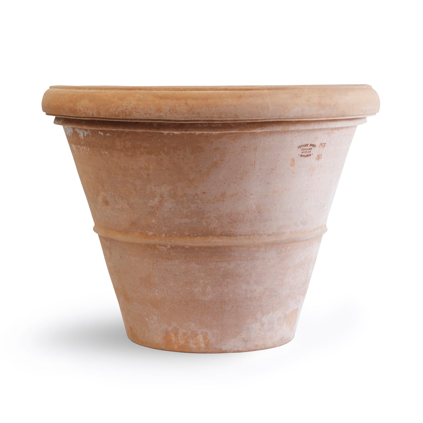 VASO LISCIO