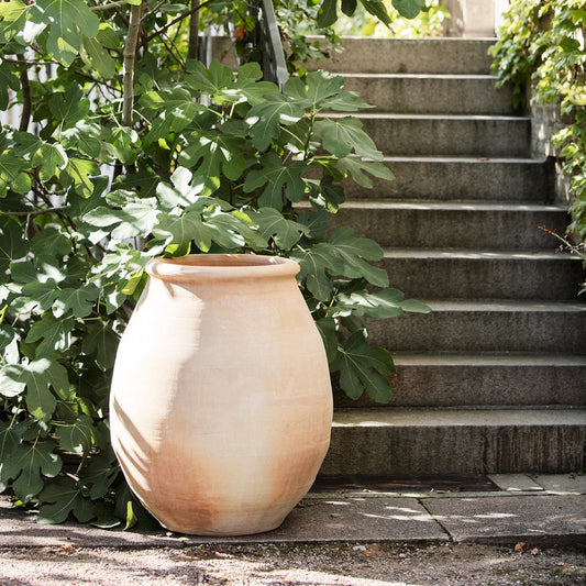 VASO