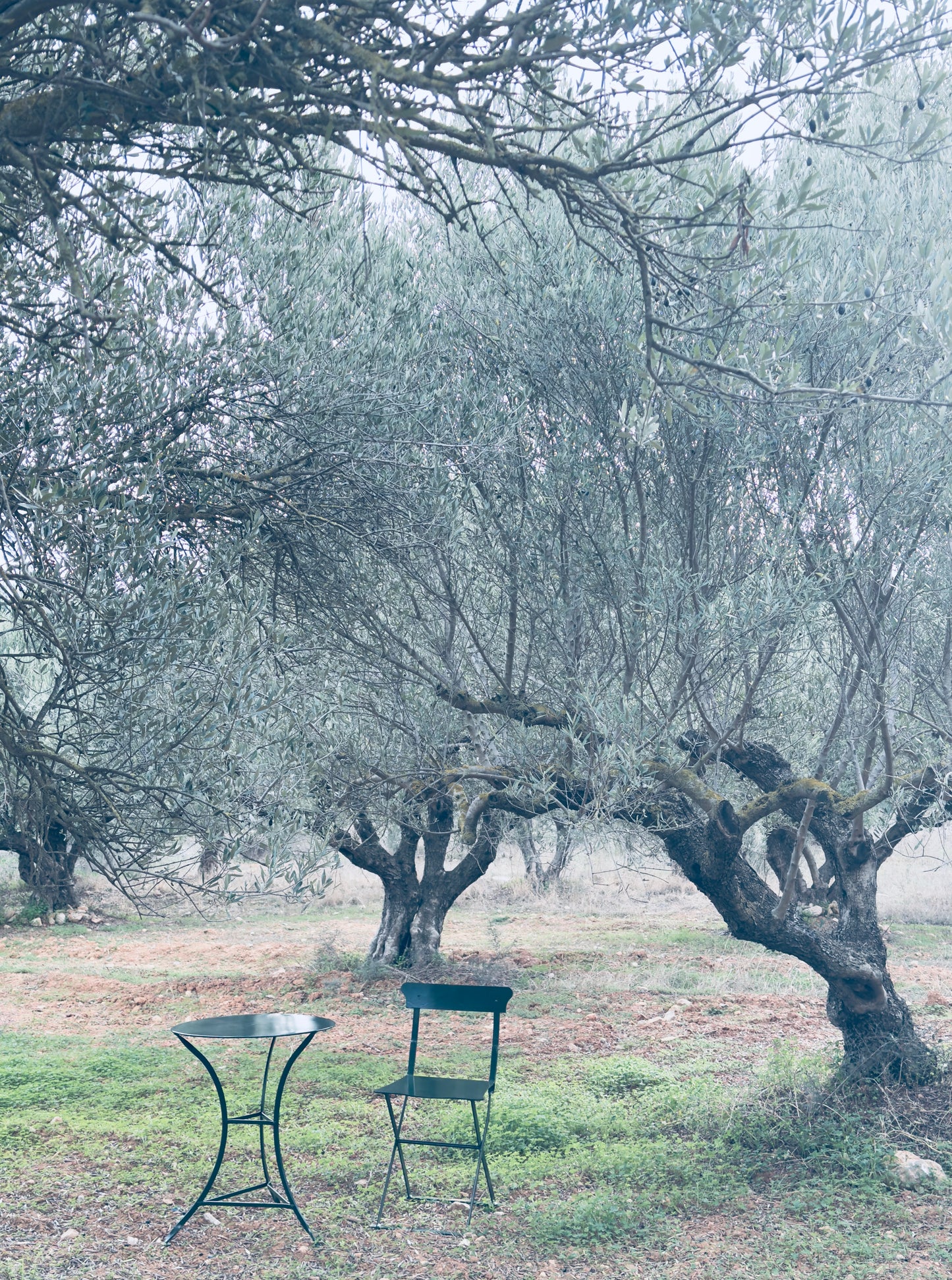 DEPOSITUM -FORUDBESTILLING-MOSS CHAIR-LERKENFELDT-HANDCRAFTED 2026.